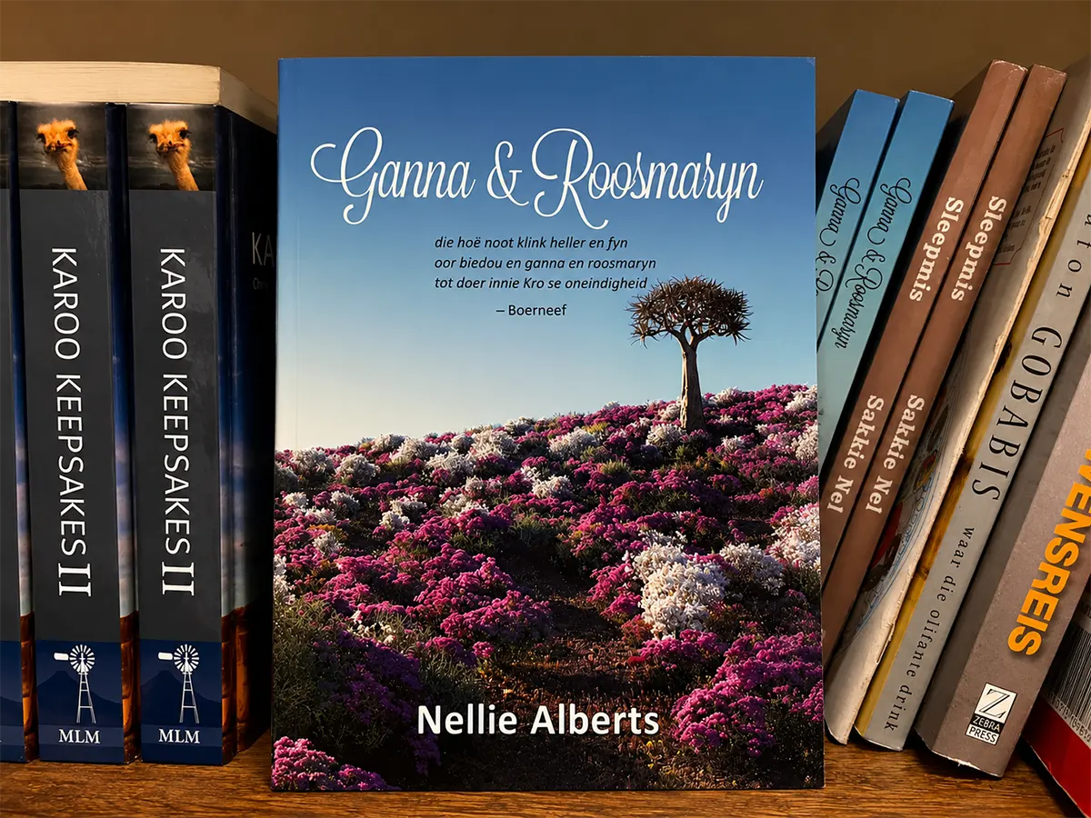 Book selection inside the Hantam Huis Shop